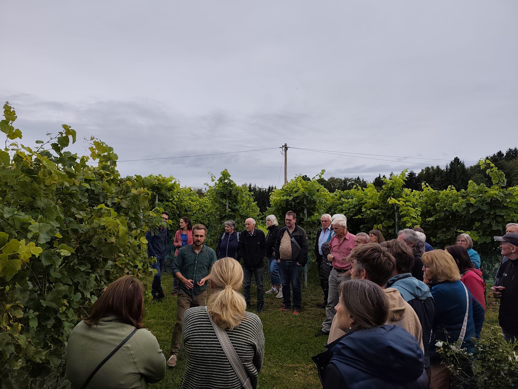 Weingut